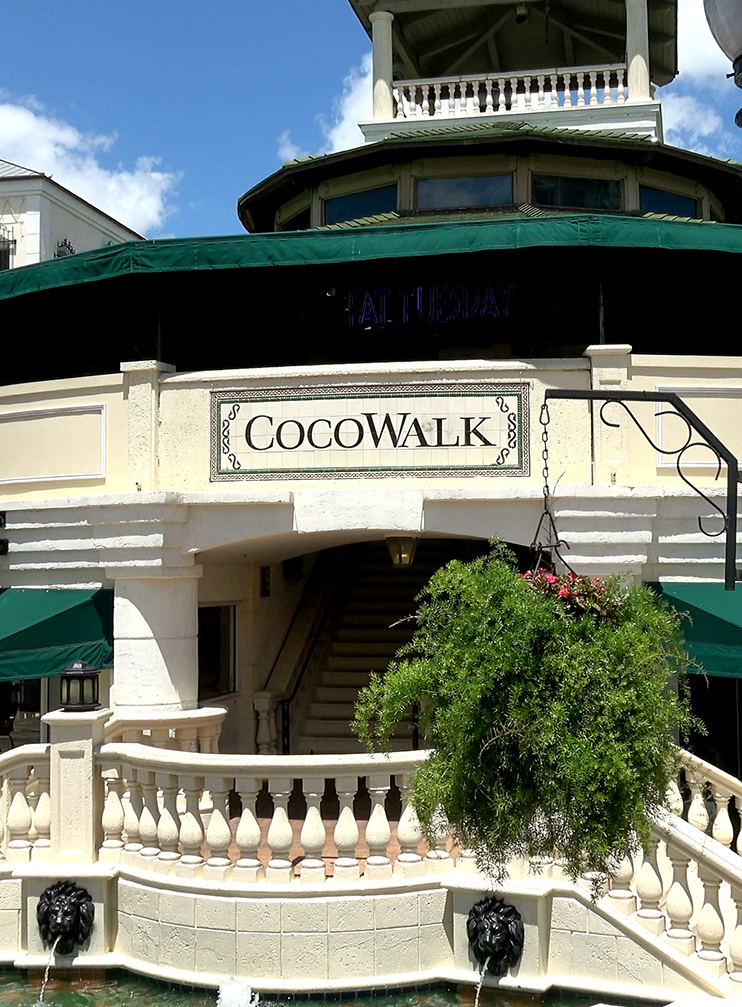 TCG-CoconutGrove